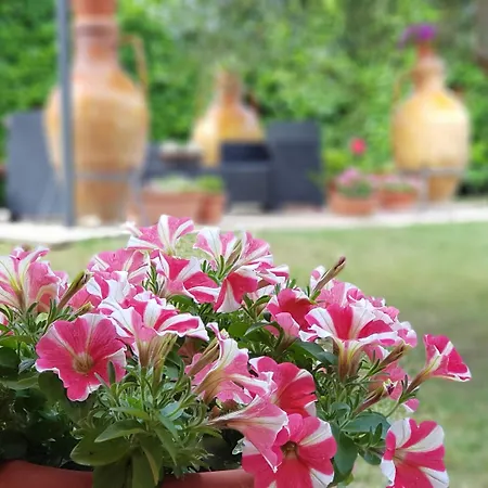 Bed & Breakfast La Dimora Di Assisi